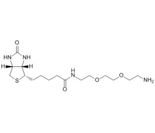 Biotin-PEG2-Amine (CAS 138529-46-1) - chemical structure image
