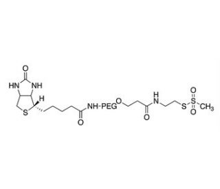 Biotin-PEG3400-MTS-CAE - chemical structure image