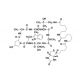 Biotin-XX phalloidin - chemical structure image