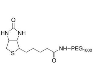 Biotinamido Poly(ethylene glycol)1000 - chemical structure image
