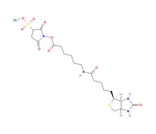 Biotinamidohexanoic acid 3-sulfo-N-hydroxysuccinimide ester sodium salt (CAS 127062-22-0) - chemical structure image