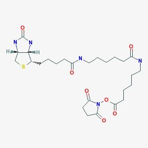 ghk-cu benefits for women GHK-Cu Scalp Solution