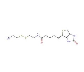 Biotinyl Cystamine (CAS 128915-82-2) - chemical structure image