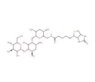 Biotinyl tobramycin amide (CAS 419573-18-5) - chemical structure image
