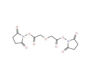 Bis-N-succinimidyl diglycolic acid, 2,2&lsquo;-Oxydiacetic acid bis-N-succinimidyl ester (CAS 373614-12-1) - chemical structure ima
