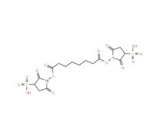 Bis(sulphosuccinimidyl)suberate (CAS 87067-99-0) - chemical structure image