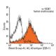 Blood Group A1, A2, A3 antigen Antibody (Z2B-1) - Flow Cytometry - Image 13747