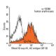 Blood Group A1, A2 antigen Antibody (87-G) - Flow Cytometry - Image 13748