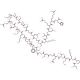 BNP (1-32), human - chemical structure image