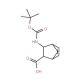 Boc-3-exo-aminobicyclo[2.2.1]-hept-5-ene-2-exo-carboxylic acid - chemical structure image