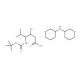 Boc-(3S,4S)-4-amino-3-hydroxy-5-methylhexanoic acid dicyclohexylammonium salt (CAS 204192-31-4) - chemical structure image