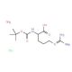 Boc-D-Arg-OH H2O HCl (CAS 113712-06-4) - chemical structure image