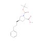 Boc-(R)-gamma-(3-phenylpropyl)-L-proline (CAS 220424-73-7) - chemical structure image