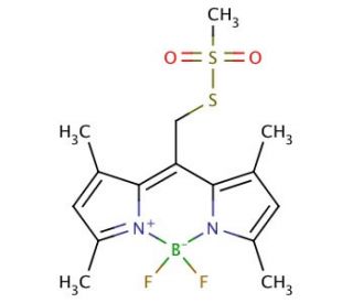 Bodipy Methanethiosulfonate - chemical structure image