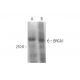 BRCA1 Antibody (287.17) - Western Blotting - Image 350725 