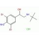 Brombuterol hydrochloride (CAS 21912-49-2) - chemical structure image