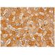 BUP-1 Antibody (B-5) - Immunohistochemistry - Image 333297 