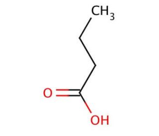 Butyric acid | CAS 107-92-6 | SCBT - Santa Cruz Biotechnology