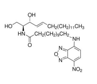 C-12 NBD Ceramide (CAS 202850-01-9) - chemical structure image