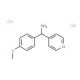 C-(4-Methoxy-phenyl)-C-pyridin-4-yl-methylamine dihydrochloride (CAS 889939-88-2) - chemical structure image