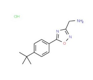 C-[5-(4-tert-Butyl-phenyl)-[1,2,4]oxadiazol-3-yl]-methylamine hydrochloride - chemical structure image