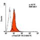 c-Fms/CSF-1R Antibody (3-4A4) - Flow Cytometry - Image 5989