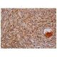 c-Jun Antibody (B-1) - Immunohistochemistry - Image 348727
