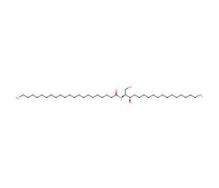 C22 Dihydroceramide (CAS 147492-65-7) - chemical structure image
