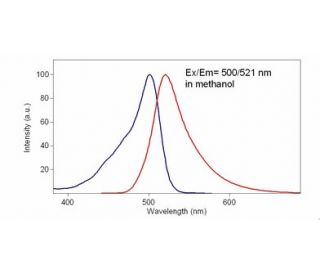 Calcein AM CAS 148504 34 1 SCBT Santa Cruz Biotechnology