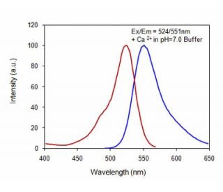 CalciFluor&trade; Rhod-4, AM: sc-362569