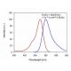 CalciFluor™ Rhod-4, AM: sc-362569