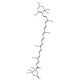 Capsanthin (CAS 465-42-9) - chemical structure image