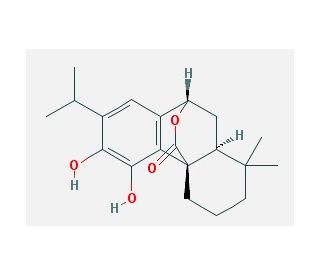 Carnosol (CAS 5957-80-2) - chemical structure image