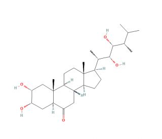Castasterone (CAS 80736-41-0) - chemical structure image
