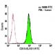 CD13 Antibody (SJ1D1) - Flow Cytometry - Image 5769 