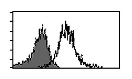 CD137L Antibody (AT113-2) | SCBT - Santa Cruz Biotechnology
