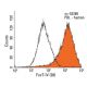 CD15 Antibody (28) - Flow Cytometry - Image 13057 