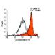 flow cytometry image from recommended CD163 (GHI/61) monoclonal antibody replacement. Image 9518