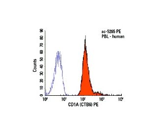 CD1A Antibody (CTB6) | SCBT - Santa Cruz Biotechnology