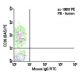 CD26 Antibody (BA5) - Flow Cytometry - Image 5816