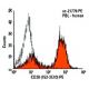 CD28 Antibody (152-2E10) - Flow Cytometry - Image 5823 