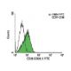 CD28 Antibody (CD28.1) - Flow Cytometry - Image 141187