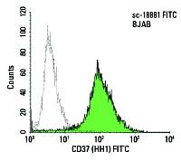 CD37 Antibody (HH1) | SCBT - Santa Cruz Biotechnology