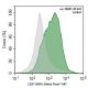 CD37 Antibody (HH1) - Flow Cytometry - Image 391872