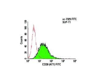 CD38 Antibody (AT1) | SCBT - Santa Cruz Biotechnology