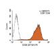 CD38 Antibody (AT13/5) - Flow Cytometry - Image 136397 