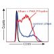 CD39 Antibody (BU61) - Flow Cytometry - Image 398563