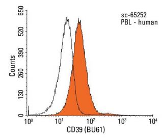flow cytometry image from recommended CD39 (BU61) monoclonal antibody replacement. Image 14243