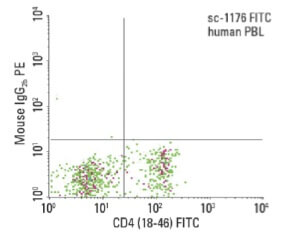 CD4 Antibody (18-46) | SCBT - Santa Cruz Biotechnology