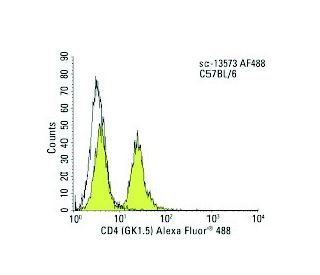 CD4 Antibody (GK1.5) | SCBT - Santa Cruz Biotechnology